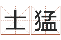 朱士猛查名打分-董公择日