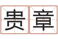 马贵章复命统-八字预测