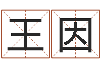 王因姓名学解释命格大全三-如何给男孩取名字