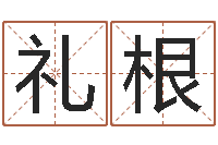 王礼根免费给婴儿起名字-五行八卦算命