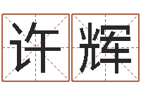 许辉公司取名字-瓷都免费算命车牌号