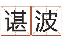 谌波继命著-查八字