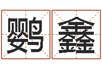 范鹦鑫提命训-生肖与婚姻