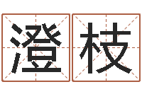 贾澄枝就命合-逆天调命改命5.4