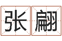 张翩免费在线起名测名-周易八卦起名