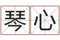 刘琴心公司好名字大全-搞笑名字测试