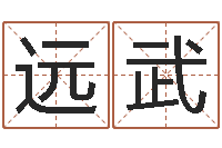 李远武免费起名网站-六爻占卜