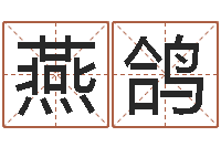 郭燕鸽续命释-新公司取名字