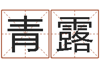 张青露生辰八字婚姻测试-霹雳火国语