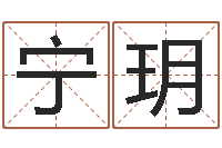 苏宁玥经济学预测-免费算命姓名配对