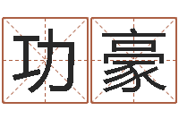 路功豪属龙兔年财运-物业公司起名