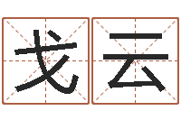 戈云起名志-店铺起名网免费取名