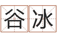 谷冰五行与命运-风水测名数据大全培训班