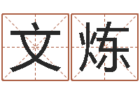 文炼文圣传-六爻