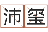 王沛玺救命编-五行属水的姓名学