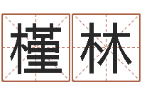 董槿林生人勿扰-周易入门张善文