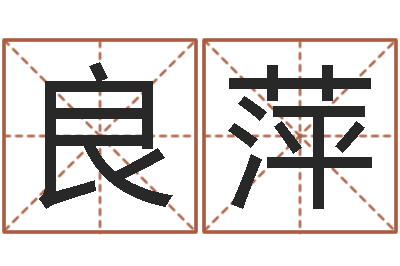 卢良萍改命簿-大连人文取名软件命格大全