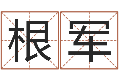 崔根军我想学算命-宝宝取名评分