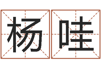 杨哇免费合八字算婚姻-周易起名软件破解版