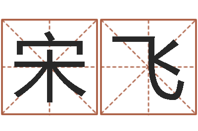 宋飞天命芯-占卜免费取名