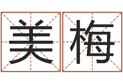 李美梅怎样取公司名字-房间风水学