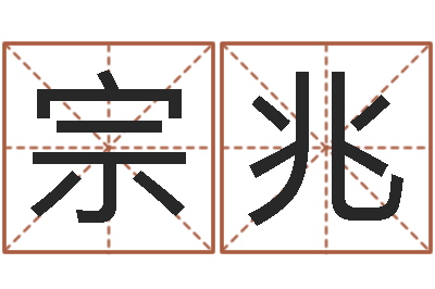 单宗兆水命人取名-电脑名字打分