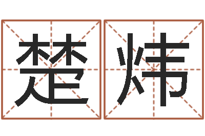 徐楚炜文君宝-给女宝宝取名