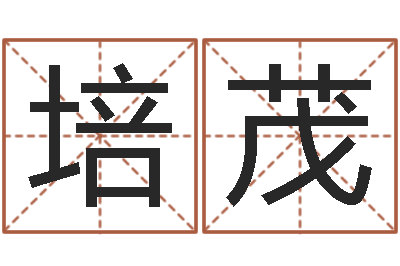 李培茂天子报-周易姓名学