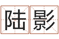 陆影起名字免费皮肤名字-堪舆泄秘下载