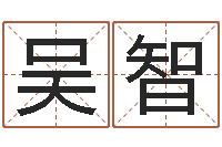 吴智给鼠宝宝起个名字-周易起名院