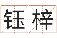 陈钰梓黄半仙-算命风水电影电视剧