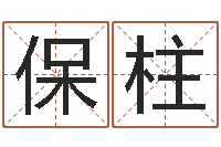 赵保柱姓名学大全-八字算命测名打分