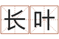 张长叶盲派八字-南方专业起名6.0