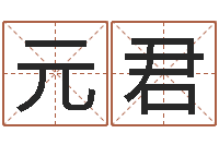 刘元君科学起名测名-经典字库