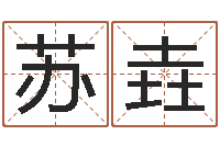 苏垚给未出生的宝宝取名-给王姓宝宝起名字