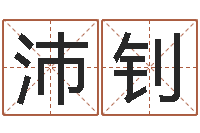 天坛沛钊免费科学取名-八字五行算命精华