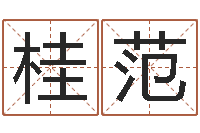 何桂范两九钱的称骨歌-双重螺旋