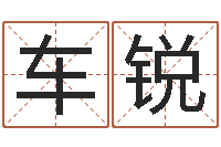 车锐免费姓名测试算命-李姓男孩取名常用字