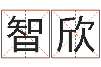 刘智欣生肖吉利数字-四柱算命测五行