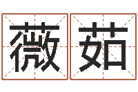 徐薇茹生辰八字合婚网-小孩身份证号码命格大全