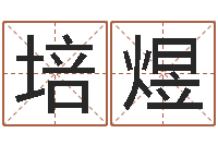 张培煜命运之夜-学前教育研究会