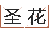 智圣花外国女孩的名字-免费在线电脑算命