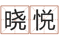 董晓悦网络公司名字-给男宝宝取个好名字