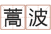 蒿波堪舆玄微-免费测名公司起名测算