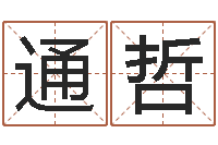 高通哲免费取名测名网-八字入门