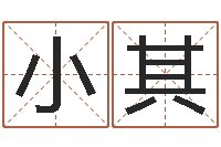 杜小其店铺风水-张学友的英文名字