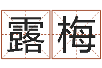 罗露梅风水-八字起名网免费取名