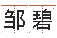 邹碧四柱八字排盘五行-火命与金命