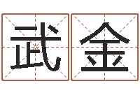 武金咨询公司起名-属相算命网