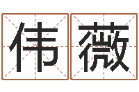 李伟薇大连算命名字测试评分-天纪算命师在哪